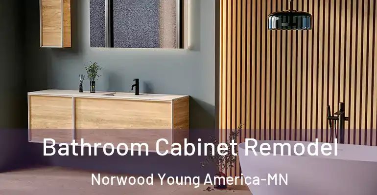 inner Bathroom imggen Bathroom Cabinet Remodel Norwood Young America-MN
