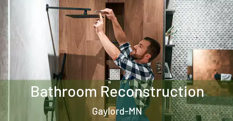 inner Bathroom imggen Bathroom Reconstruction Gaylord-MN