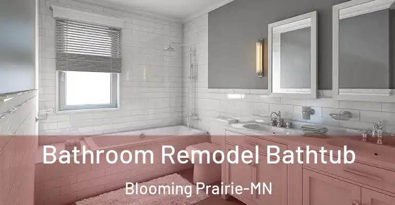 inner Bathroom imggen Bathroom Remodel Bathtub Blooming Prairie-MN