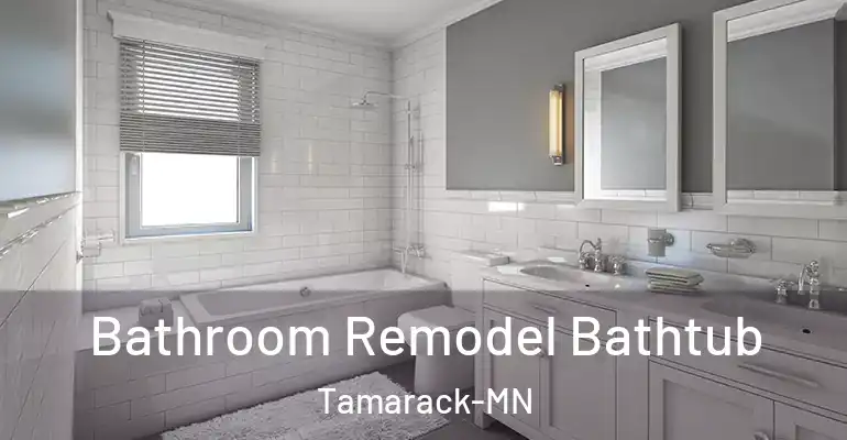 inner Bathroom imggen Bathroom Remodel Bathtub Tamarack-MN