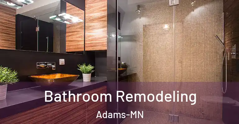 inner Bathroom imggen Bathroom Remodeling Adams-MN