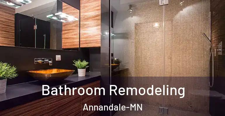 inner Bathroom imggen Bathroom Remodeling Annandale-MN