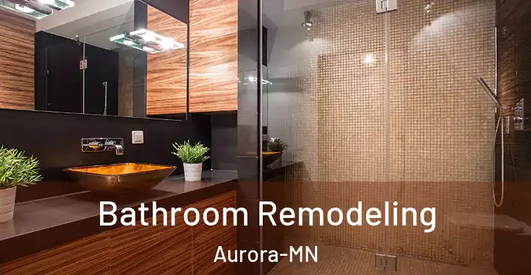 inner Bathroom imggen Bathroom Remodeling Aurora-MN