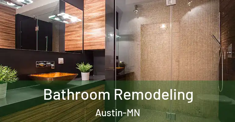 inner Bathroom imggen Bathroom Remodeling Austin-MN