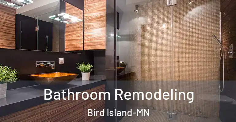 inner Bathroom imggen Bathroom Remodeling Bird Island-MN