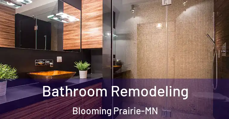 inner Bathroom imggen Bathroom Remodeling Blooming Prairie-MN
