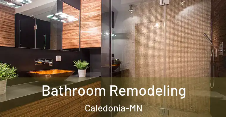 inner Bathroom imggen Bathroom Remodeling Caledonia-MN