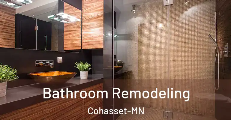 inner Bathroom imggen Bathroom Remodeling Cohasset-MN