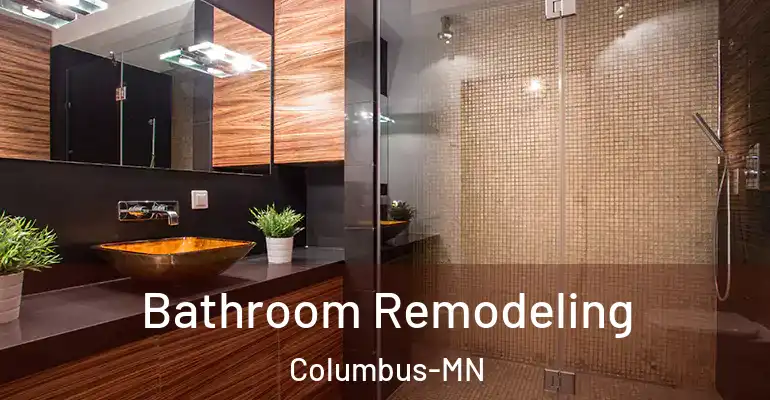 inner Bathroom imggen Bathroom Remodeling Columbus-MN