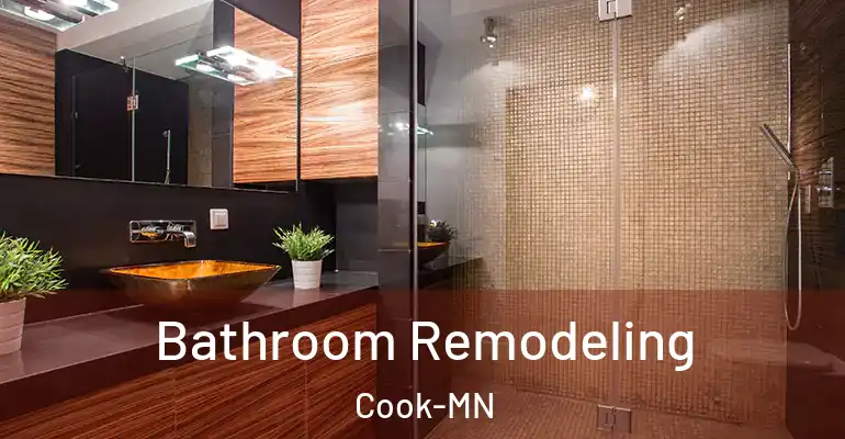 inner Bathroom imggen Bathroom Remodeling Cook-MN