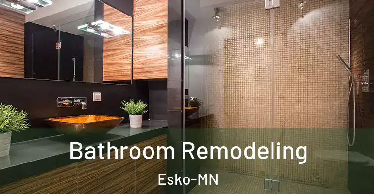 inner Bathroom imggen Bathroom Remodeling Esko-MN