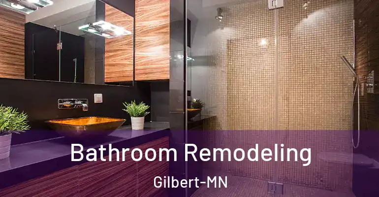 inner Bathroom imggen Bathroom Remodeling Gilbert-MN