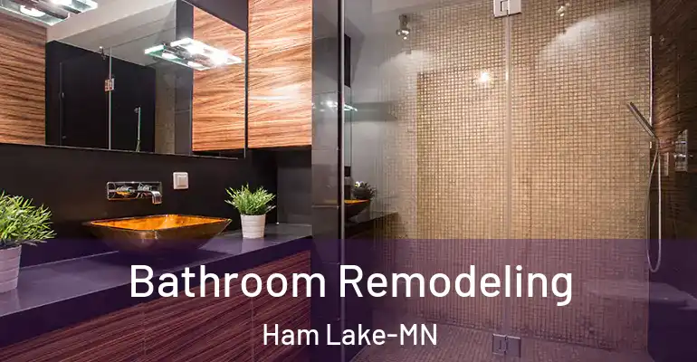 inner Bathroom imggen Bathroom Remodeling Ham Lake-MN