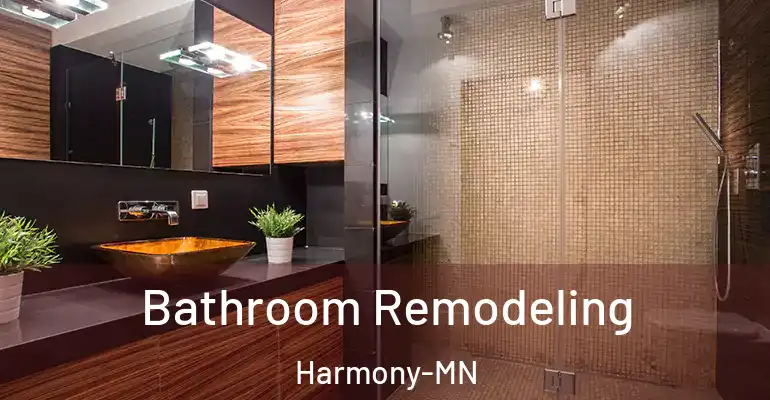 inner Bathroom imggen Bathroom Remodeling Harmony-MN
