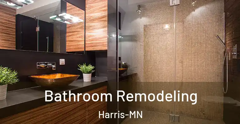 inner Bathroom imggen Bathroom Remodeling Harris-MN