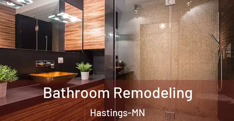 inner Bathroom imggen Bathroom Remodeling Hastings-MN
