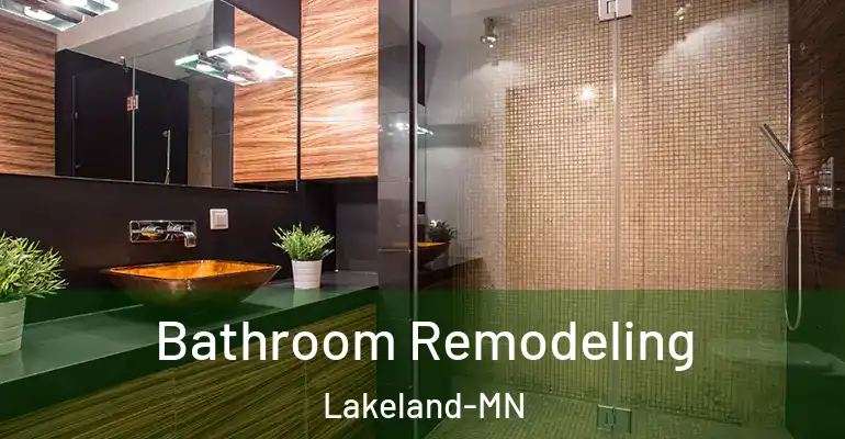 inner Bathroom imggen Bathroom Remodeling Lakeland-MN