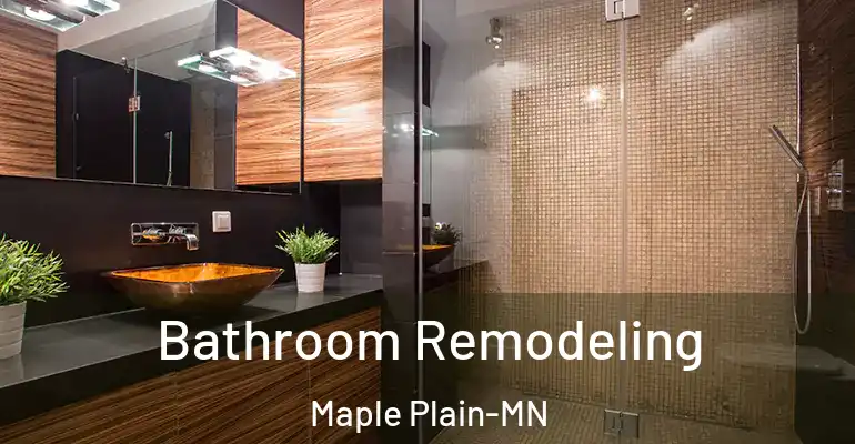 inner Bathroom imggen Bathroom Remodeling Maple Plain-MN