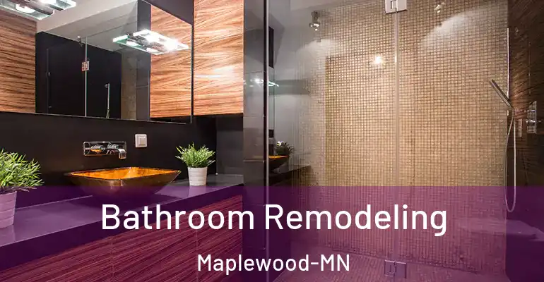 inner Bathroom imggen Bathroom Remodeling Maplewood-MN