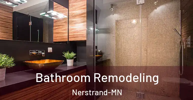 inner Bathroom imggen Bathroom Remodeling Nerstrand-MN