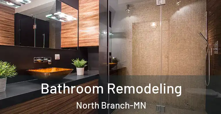 inner Bathroom imggen Bathroom Remodeling North Branch-MN