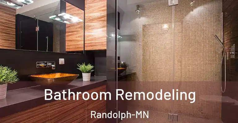 inner Bathroom imggen Bathroom Remodeling Randolph-MN
