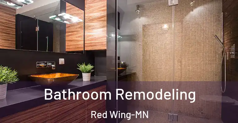 inner Bathroom imggen Bathroom Remodeling Red Wing-MN