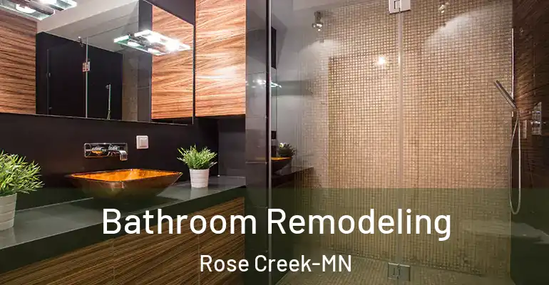 inner Bathroom imggen Bathroom Remodeling Rose Creek-MN