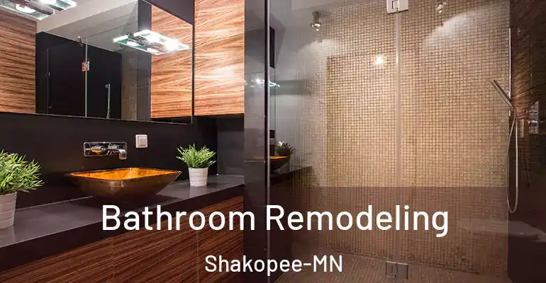 inner Bathroom imggen Bathroom Remodeling Shakopee-MN