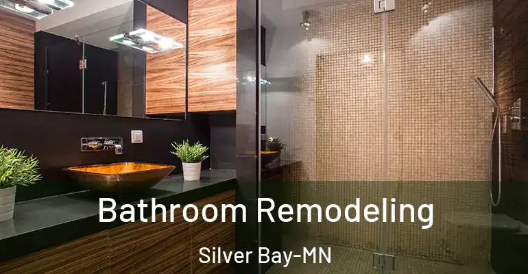 inner Bathroom imggen Bathroom Remodeling Silver Bay-MN