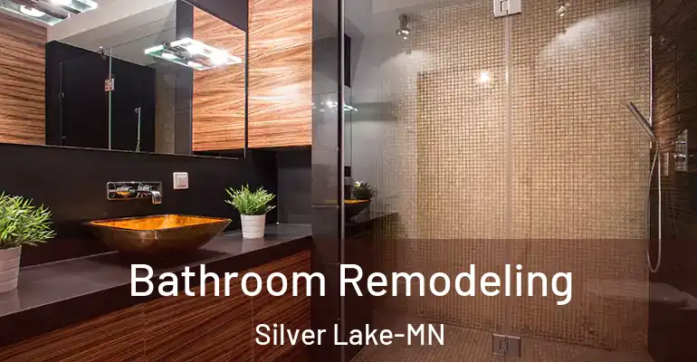 inner Bathroom imggen Bathroom Remodeling Silver Lake-MN