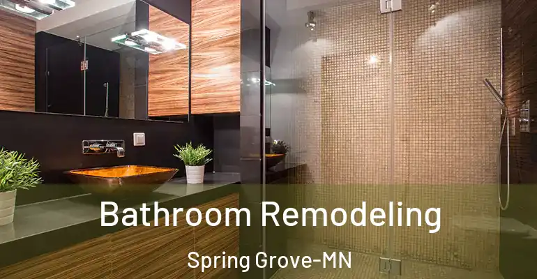 inner Bathroom imggen Bathroom Remodeling Spring Grove-MN