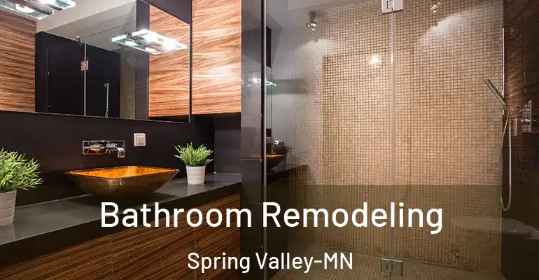 inner Bathroom imggen Bathroom Remodeling Spring Valley-MN