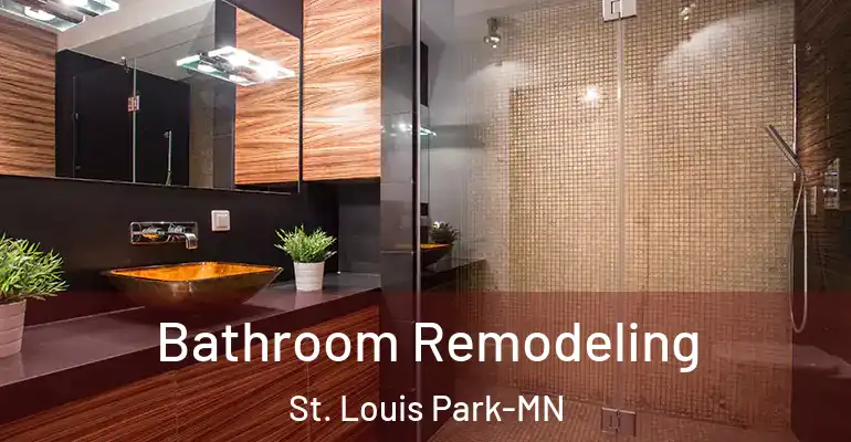 inner Bathroom imggen Bathroom Remodeling St. Louis Park-MN
