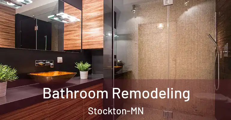 inner Bathroom imggen Bathroom Remodeling Stockton-MN