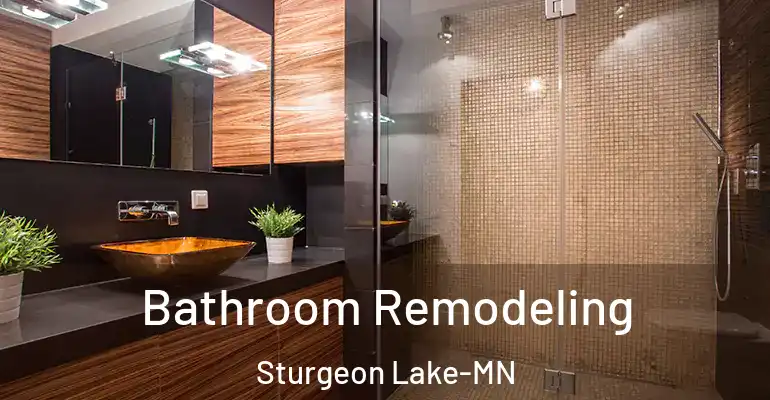 inner Bathroom imggen Bathroom Remodeling Sturgeon Lake-MN