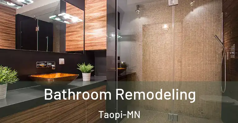 inner Bathroom imggen Bathroom Remodeling Taopi-MN