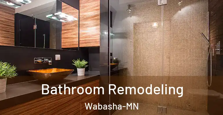 inner Bathroom imggen Bathroom Remodeling Wabasha-MN