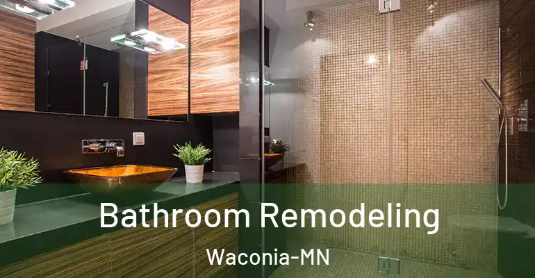 inner Bathroom imggen Bathroom Remodeling Waconia-MN