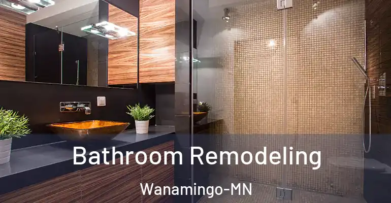 inner Bathroom imggen Bathroom Remodeling Wanamingo-MN