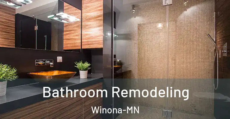 inner Bathroom imggen Bathroom Remodeling Winona-MN