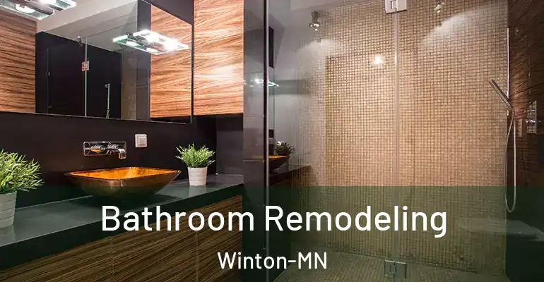 inner Bathroom imggen Bathroom Remodeling Winton-MN