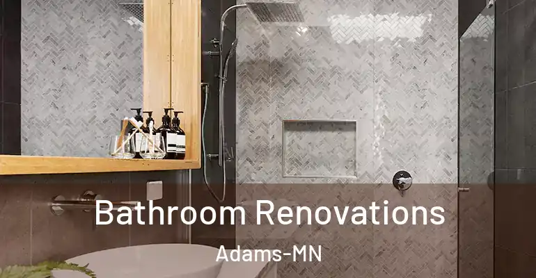 inner Bathroom imggen Bathroom Renovations Adams-MN