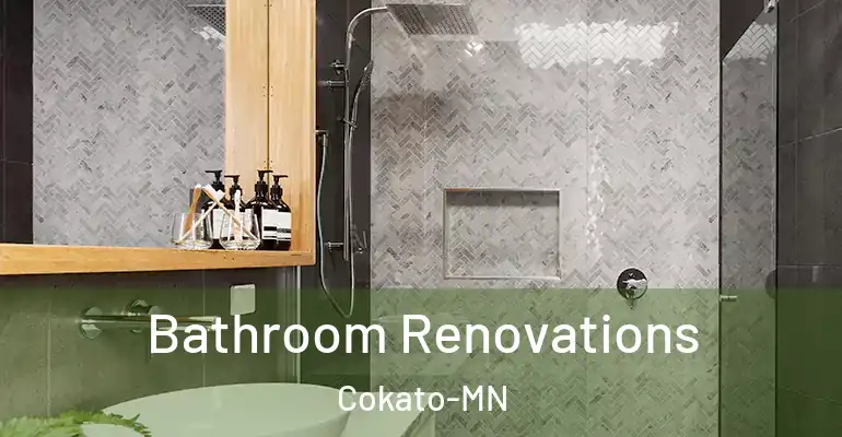 inner Bathroom imggen Bathroom Renovations Cokato-MN