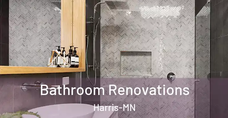 inner Bathroom imggen Bathroom Renovations Harris-MN