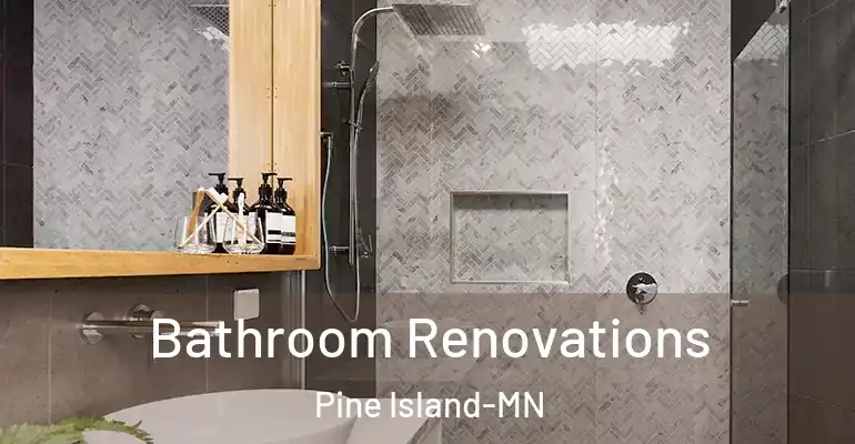 inner Bathroom imggen Bathroom Renovations Pine Island-MN