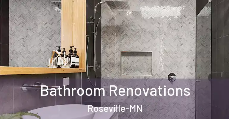 inner Bathroom imggen Bathroom Renovations Roseville-MN