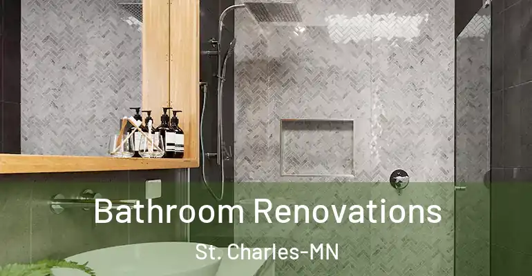 inner Bathroom imggen Bathroom Renovations St. Charles-MN