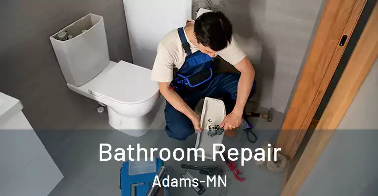 inner Bathroom imggen Bathroom Repair Adams-MN