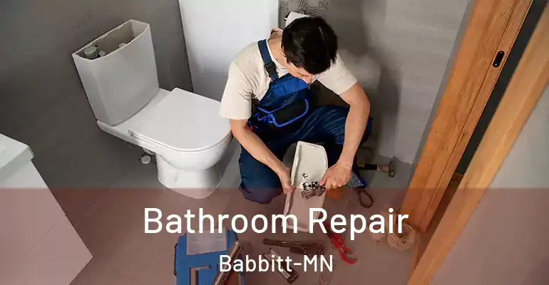inner Bathroom imggen Bathroom Repair Babbitt-MN